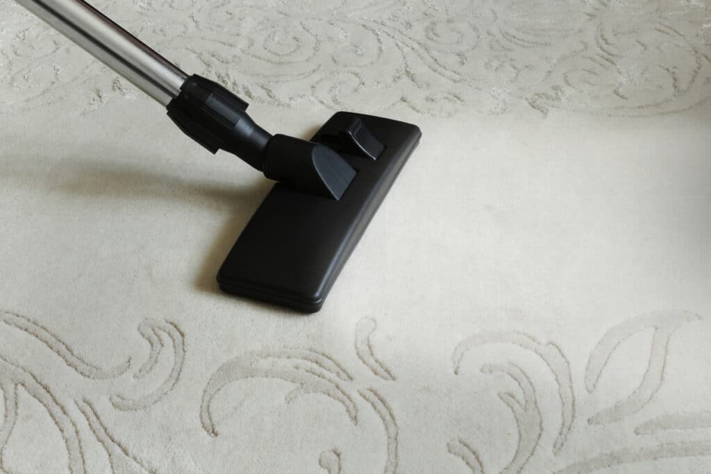 area rugs clean