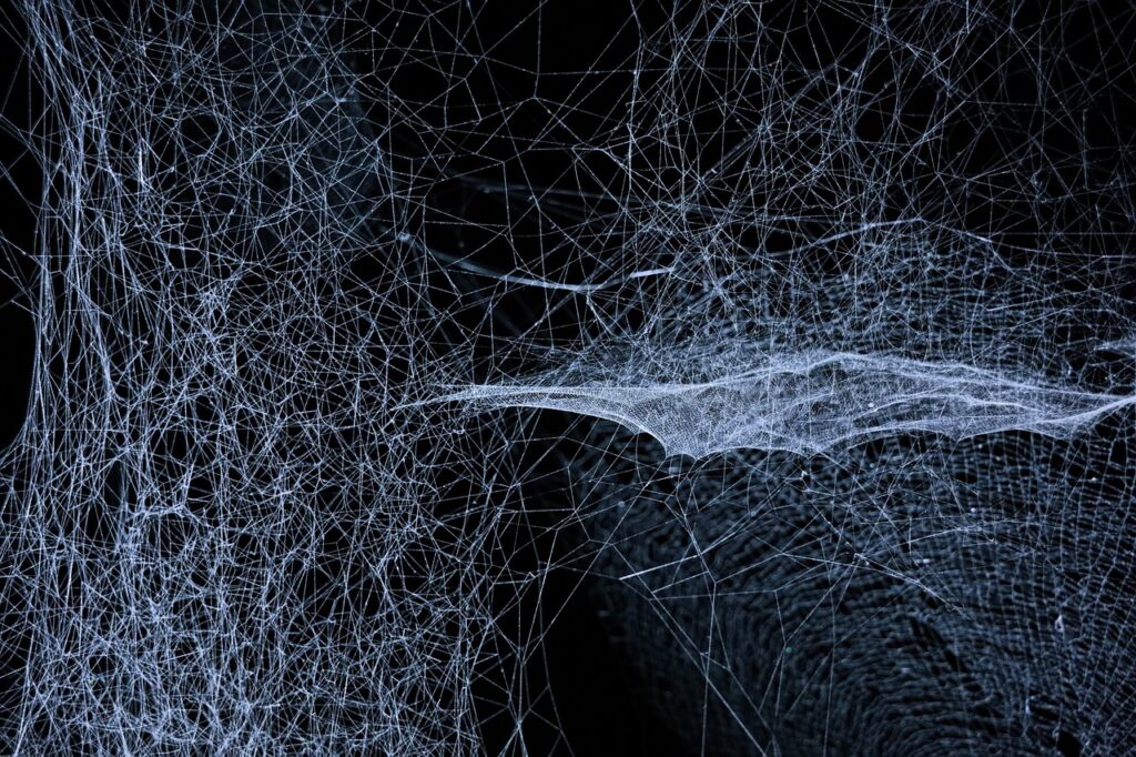 cobweb